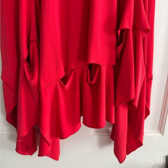 Sympli Asymmetrical Red Dress - Picture 3 of 5